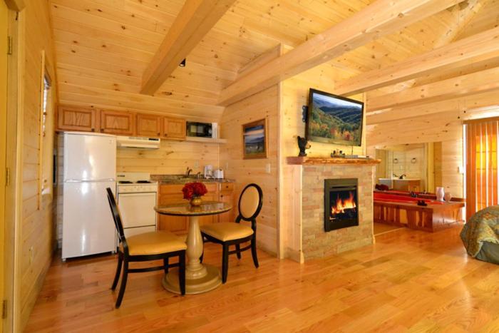 Mountain High Villa Gatlinburg Kültér fotó