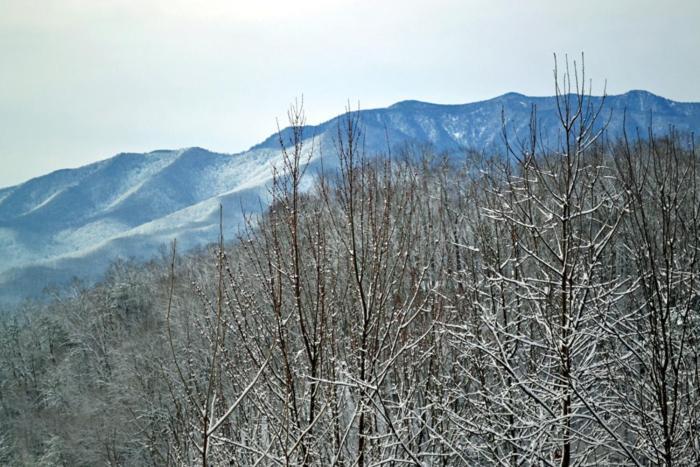 Mountain High Villa Gatlinburg Kültér fotó